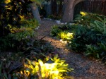 Lighting Outdoor Landscapes with Landscape Lighting for Trees and Plants in Sarasota and Nokomis, FL