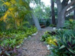 Efficient Outdoor Landscape Lighting Designs and Installations for Venice and Sarasota, Florida