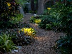 Efficient Outdoor Landscape Lighting Designs and Installations for Venice and Sarasota, Florida